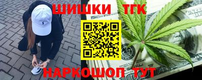 молекула духа Пугачёв