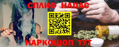 молекула духа Пугачёв
