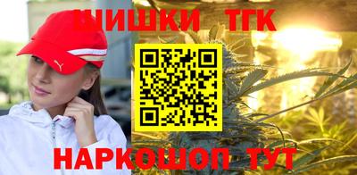 молекула духа Пугачёв