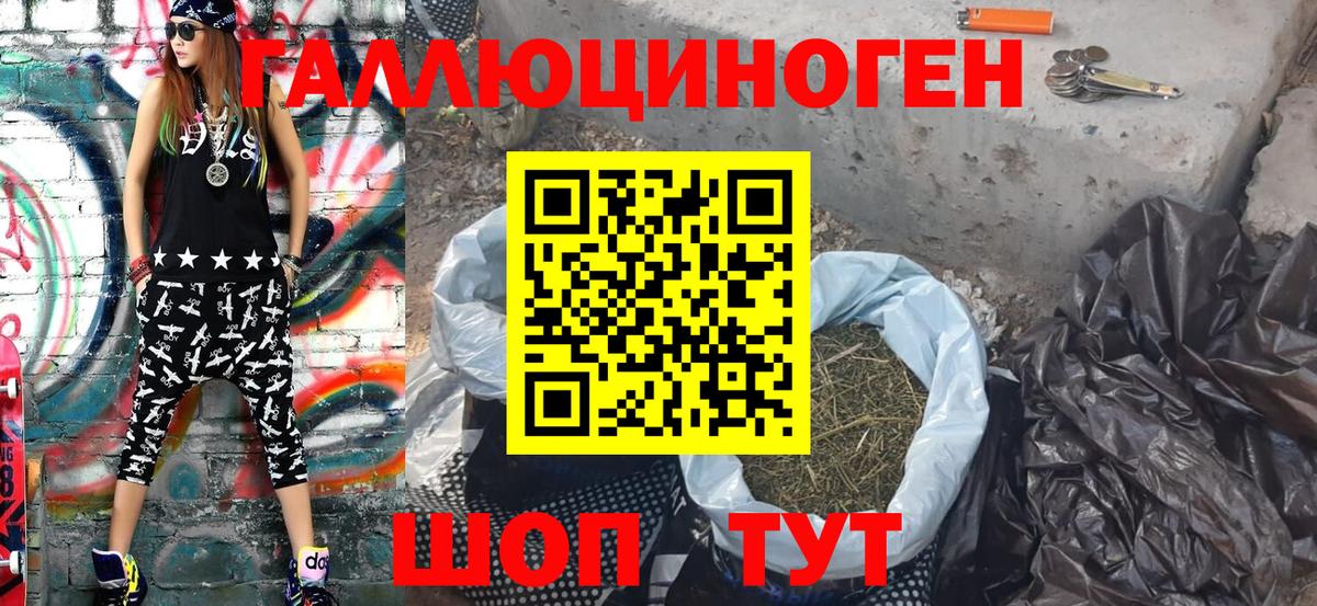 Галлюциногенные грибы Psilocybe Петрозаводск