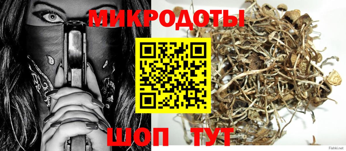 Петрозаводск  Галлюциногенные грибы мицелий  где найти   Вход с VPN 